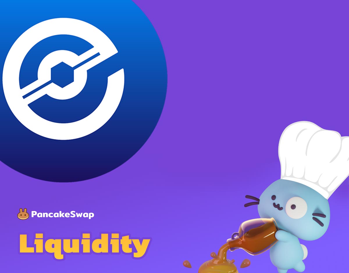 PancakeSwap Liquidity Pools - Adding XEP-BUSD liquidity - WXEP tokens - Binance Smart Chain